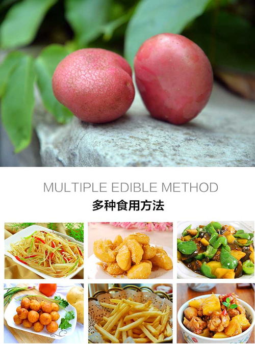 農家自種紅皮洋芋 源自云南的天然美味，10斤裝新鮮包郵批發(fā)