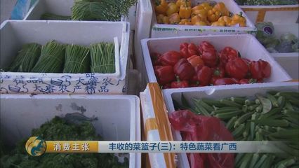 探秘廣西 百斤冬瓜、西瓜樣木瓜，這些特色蔬菜你嘗過嗎？